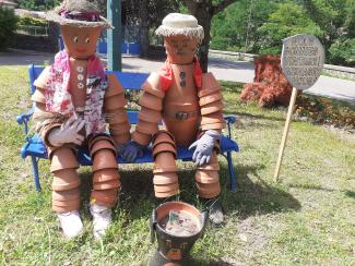 Bohnomes en pots