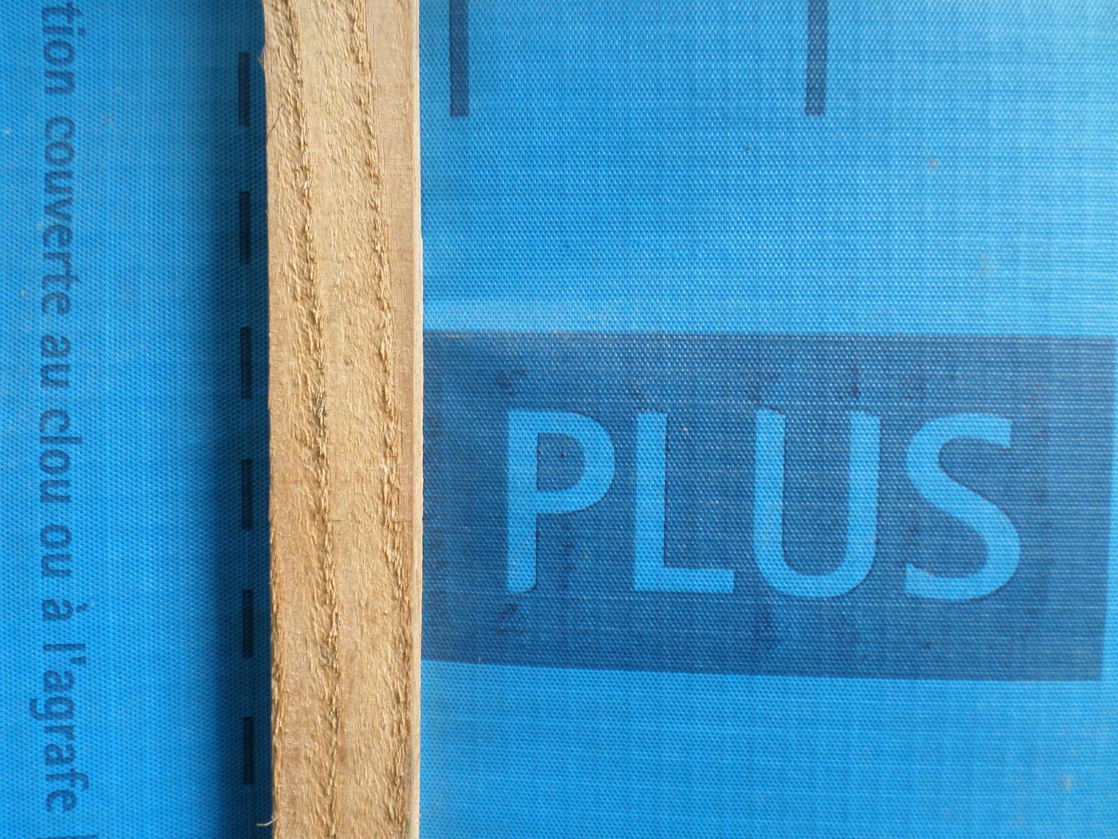 Plus 1